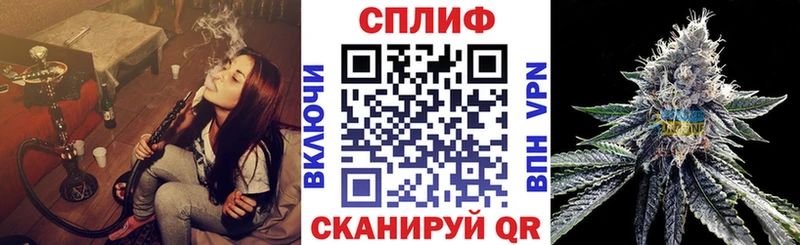 МЕФ Новомосковск