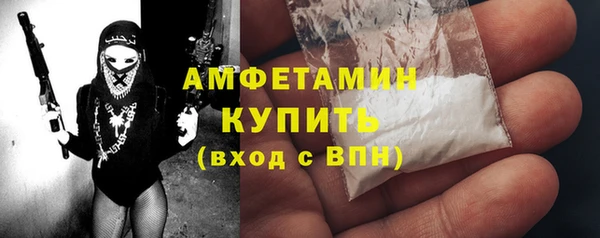 индика Богданович