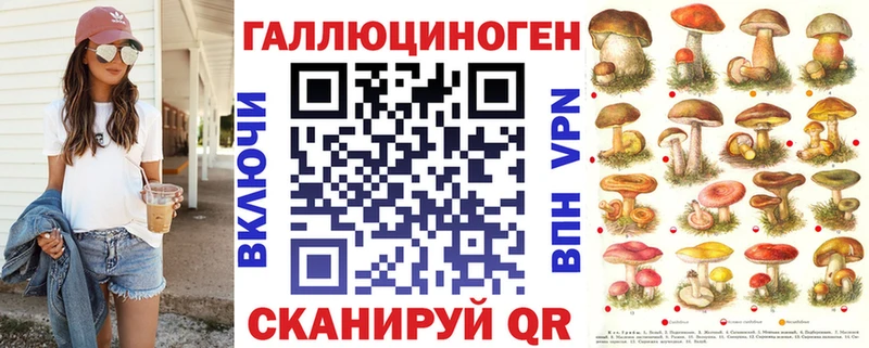 где купить   Новомосковск  блэк спрут как войти  Галлюциногенные грибы GOLDEN TEACHER 