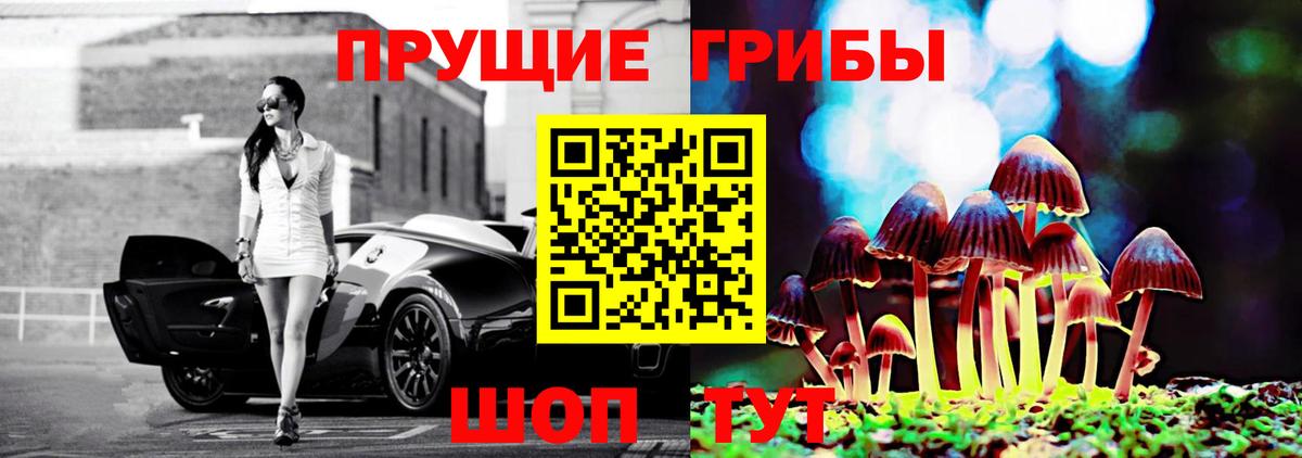 Галлюциногенные грибы Psilocybe Новомосковск