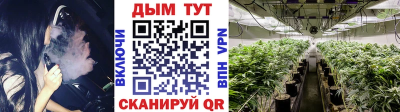 Бошки марихуана планчик Новомосковск